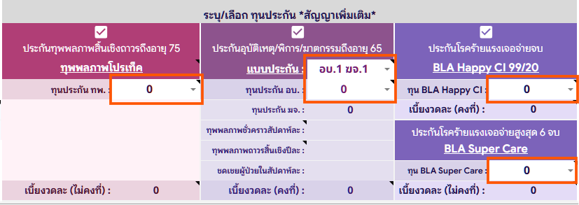 วิธีใช้งานคำนวณตลอดชีพ 3 1